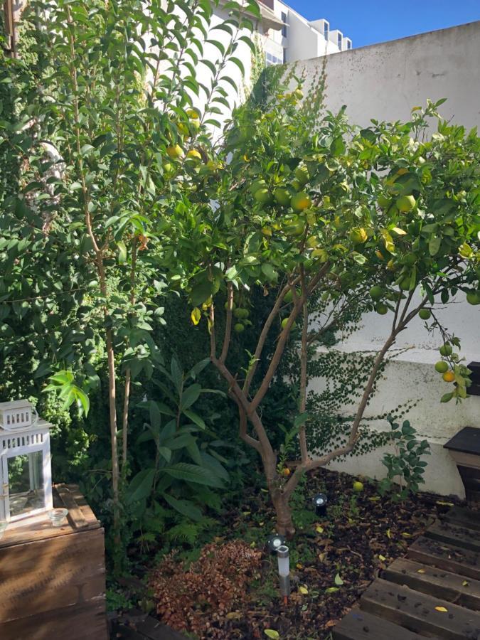 Garden Apartment Lisboa Екстериор снимка
